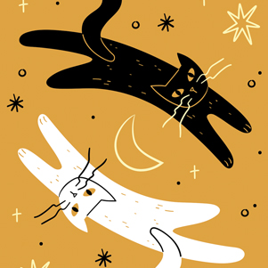 Biały kot & czarny kot